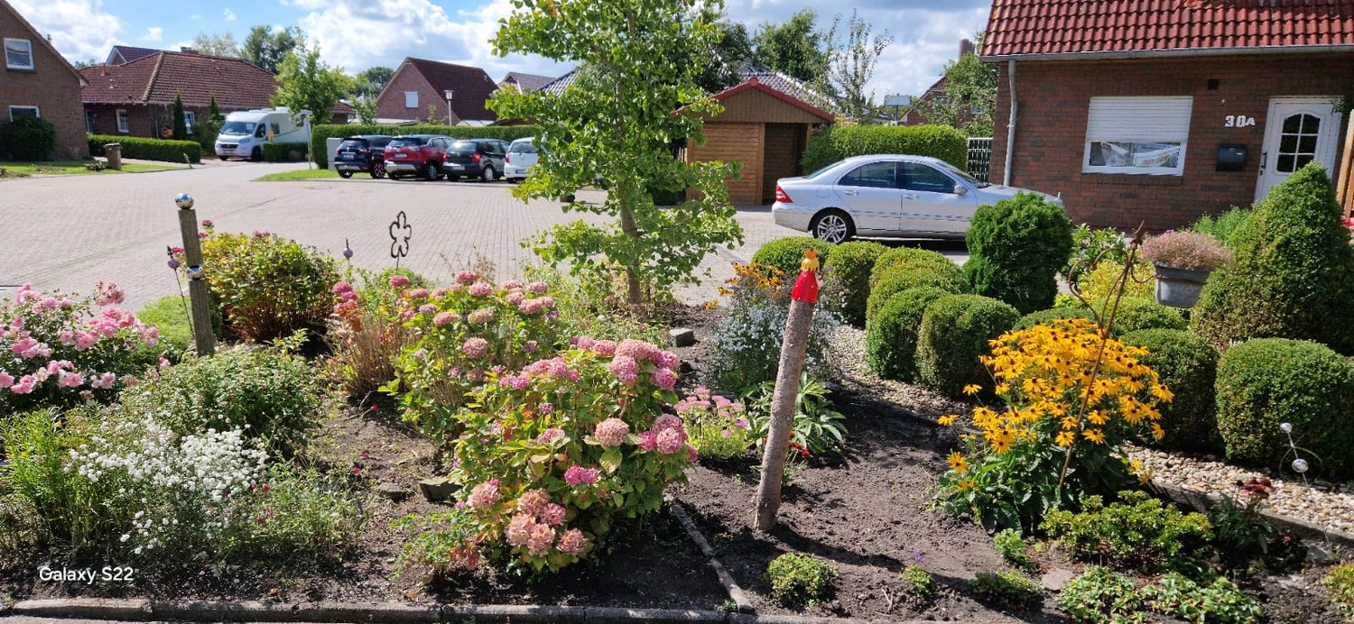 Hausmeisterservice NordWest - Gartenreinigung