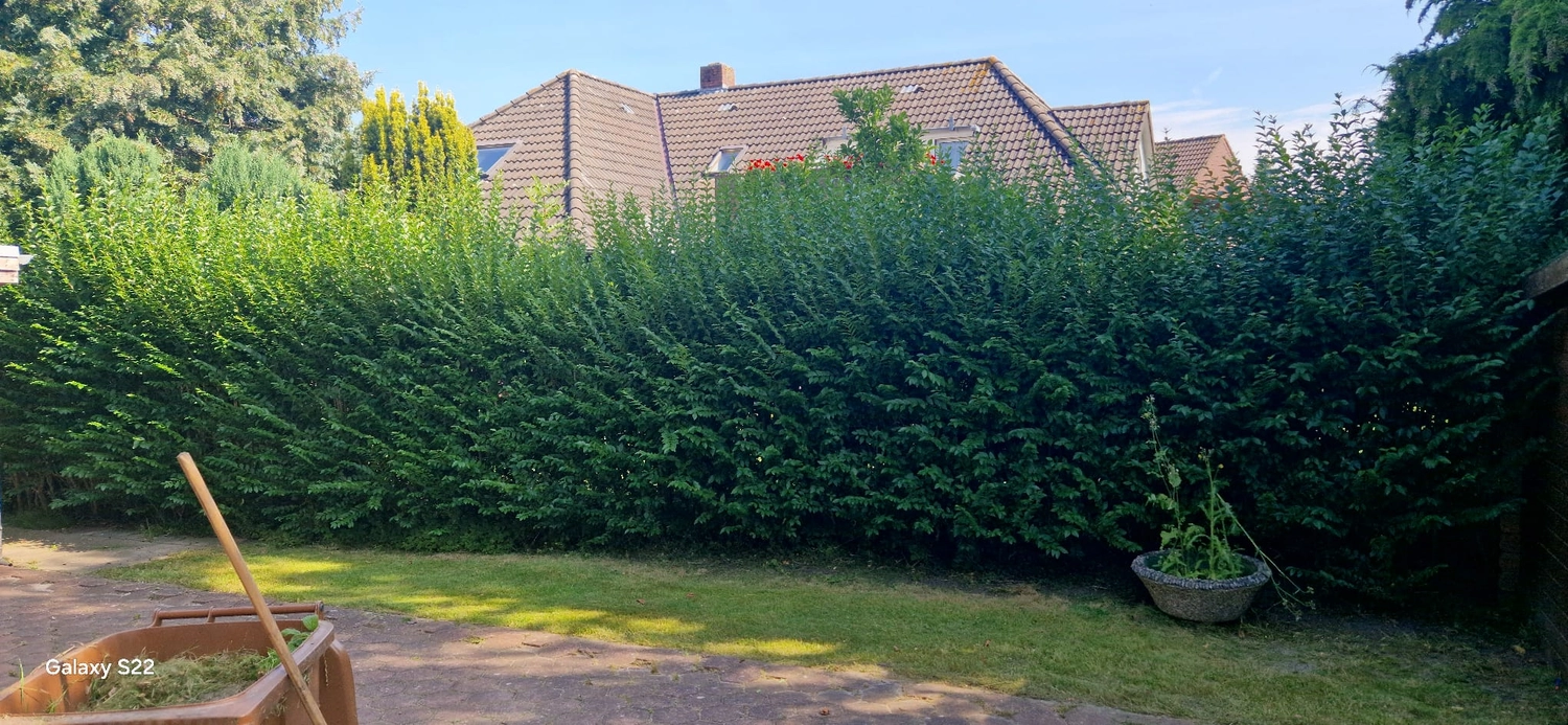 Hausmeisterservice NordWest - Garten- & Grünanlagenpflege - vor der Gartenpflege